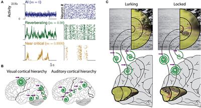 Operating in a Reverberating Regime Enables Rapid Tuning of Network States to Task Requirements